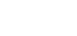 Логотип Aksi