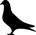 Логотип Pigeon